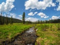 Spring in the mountains, bright natural green alpine highlands background. Eco-friendly green mountain highlands with a winding Royalty Free Stock Photo