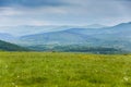 Spring in mountains. Field of spring flowers