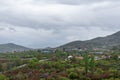 Spring in the mountains, fresh green vegetation