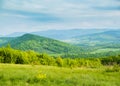 Spring in mountains. Glade of spring flowers and blue mountains