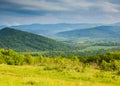 Spring in mountains. Glade of spring flowers and blue ountains