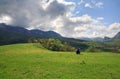 Spring mountains landscape (Crimea, Ukraine)