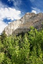 Spring Mountains Landscape Nevada Royalty Free Stock Photo