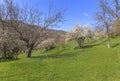 Spring in the mountains near the village of Lahij Azerbaijan