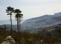 Spring in the mountains view of Yalta