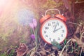 Spring natural background with first flowers. Alarm clock over spring natural background, flat lay Royalty Free Stock Photo
