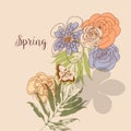 Spring natural background