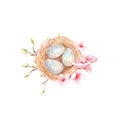 Spring natural bird house of straw and branches with blue eggs. Close up hand draw nest. Symbol of Easter, love and family. Isolat Royalty Free Stock Photo