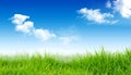 Spring nature background with grass and blue sky. Royalty Free Stock Photo