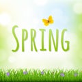 Spring Nature Background With Grass Border And Flowers Royalty Free Stock Photo