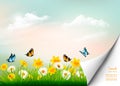 Spring nature background with grass and flowers and copy spase.