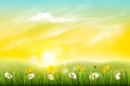 Spring nature background with grass and flowers. Royalty Free Stock Photo