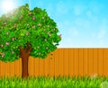Spring nature background with green grass and blooming tree. Vector illustration Royalty Free Stock Photo