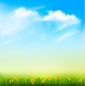 Spring Nature Background With A Green Grass And Blue Sky Royalty Free Stock Photo