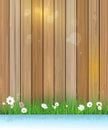 Spring nature background. Green grass and leaf plant over wood fence Royalty Free Stock Photo