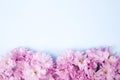 Spring nature background with lovely blossom in blue pastel color