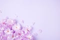 Spring nature background with lovely blossom in pink pastel color