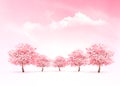Spring nature background with a pink blooming sakura tree. Royalty Free Stock Photo