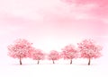 Spring nature background with a pink blooming sakura tree. Royalty Free Stock Photo