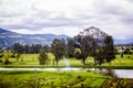 Spring Nature. Beautiful Landscape. Park with Green Grass and Tr Royalty Free Stock Photo