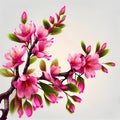 Spring nature, beautiful photorealistic illustration of wild sakura branch with pink flowers on turquoise light