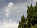 Spring Nature Blue Sky Clouds Tree Wiev