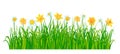 Spring nature border with flowers and green grass. Vector illustration Royalty Free Stock Photo