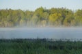 Spring, nature, spring forest, fields, lakes and rivers.