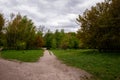 Spring nature forest. Nature in summer. Springtime season. Pathway or path in forest wood. Central park Royalty Free Stock Photo