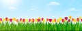 Spring nature landscape with flowers, green grass and blue sky. Vector illustration Royalty Free Stock Photo