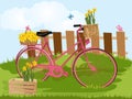 Spring nature meadow landscape with a bicycle Royalty Free Stock Photo