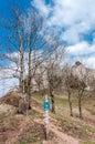 Spring nature in rocky forest of Vrsatec castle of Slovakia