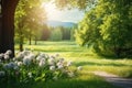 Spring Nature scene. Beautiful Landscape. Park with dandelions, Green Grass, Trees and flowers Royalty Free Stock Photo