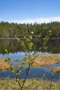 Spring, nature, spring forest, fields, lakes and rivers.