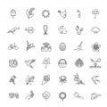 Spring Nature Vector Thin Line Icons. Vector symbols