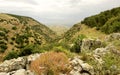 Spring Nature view- Galilee Mountain.