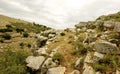 Spring Nature view- Galilee Mountain