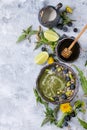 Spring nettle and dandelion smoothie Royalty Free Stock Photo