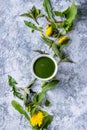 Spring nettle and dandelion smoothie Royalty Free Stock Photo