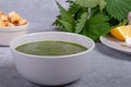 Spring nettle soup and wild, onion, lemon and bread Royalty Free Stock Photo