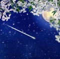 Falling meteor. Blooming cherry. Full moon. Romance and mysticism. Spring. Royalty Free Stock Photo