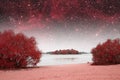 Spring night infrared photography.