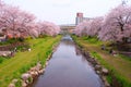 Spring Nogawa Chofu