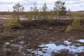 Spring northern landscape Royalty Free Stock Photo