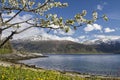 Spring in Norway