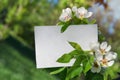Spring notes Royalty Free Stock Photo