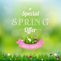 Spring Offer Banner