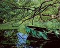 The Spring of Ohrid. Royalty Free Stock Photo