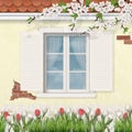 Spring old facade wooden window branch tulips