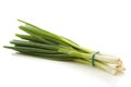 Spring onion Royalty Free Stock Photo